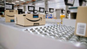 Amazon takes on Bunnings with new garden store